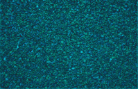 Refleks zaštita plavo